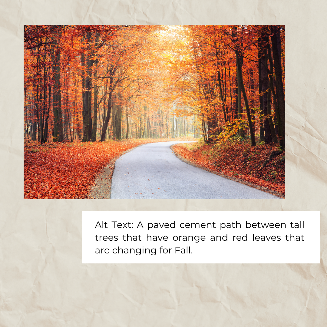 Alt Text: A paved cement path between tall trees that have orange and red leaves that are changing for Fall. with ALT text using the same description